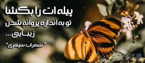 تصاویر متن دار پروانه تصاویر متن دار پروانه