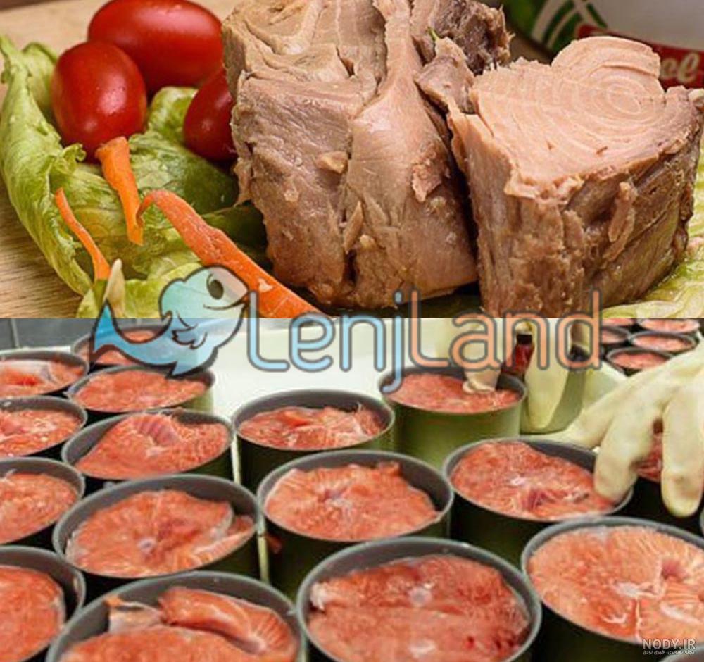 تن ماهی دنیلتون ۱۸۰ گرم – توکانیم