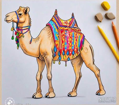 خرید و قیمت عکس شتر 186716 | ترب خرید و قیمت عکس شتر 186716 | ترب
