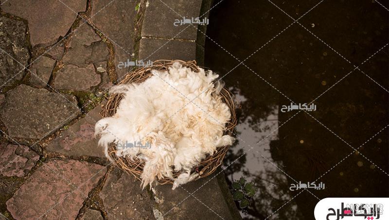 دانلود قاب عکس کودک دانلود قاب عکس کودک
