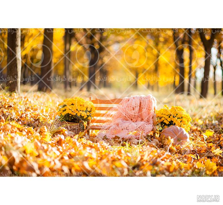 عکاسی پاییزی در فضای باز - مای باران