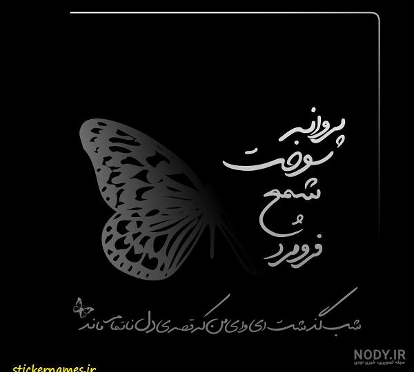 عکس اسم پروانه عکس اسم پروانه