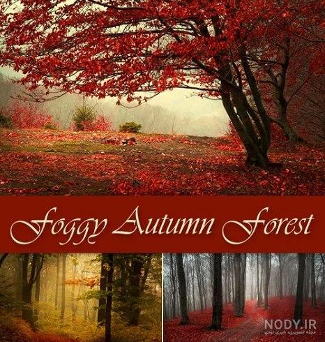 عکس زیبای پاییزی عاشقانه