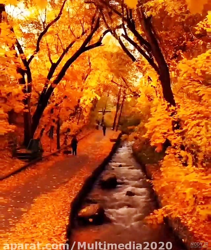 عکس/ زیبایی های لرستان در آغاز فصل پاییز | اقتصاد24 عکس/ زیبایی های لرستان در آغاز فصل پاییز | اقتصاد24