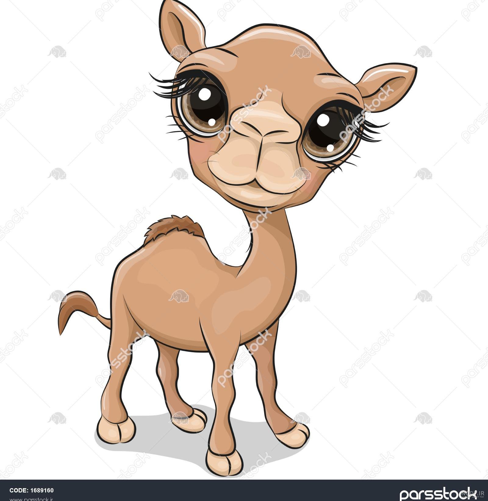 عکس شتر برای نقاشی