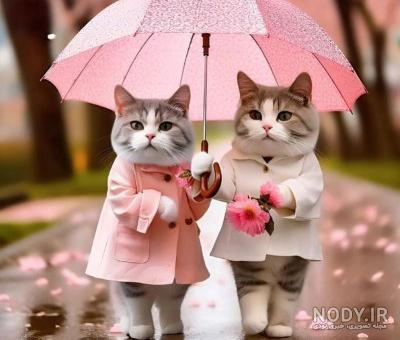 عکس عاشقانه برای پروفایل گروه روبیکا