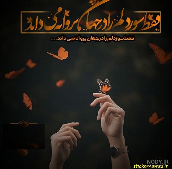 عکس نوشته از پروانه - عکس نودی عکس نوشته از پروانه - عکس نودی
