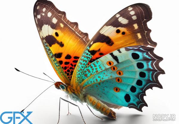 عکس نوشته های جدید اسم پروانه برای پروفایل - تــــــــوپ تـــــــــاپ عکس نوشته های جدید اسم پروانه برای پروفایل - تــــــــوپ تـــــــــاپ
