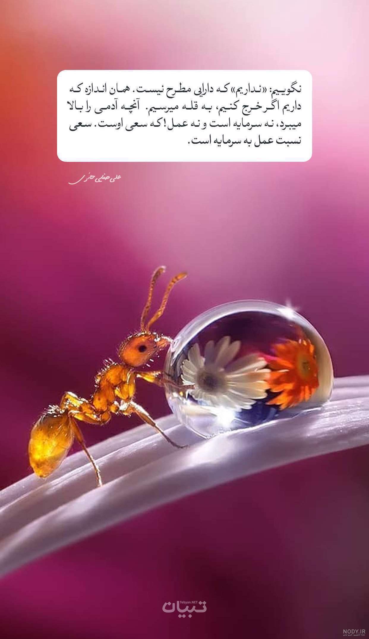 عکس نوشته های مذهبی تاثیرگذار و آموزنده برای پروفایل عکس نوشته های مذهبی تاثیرگذار و آموزنده برای پروفایل