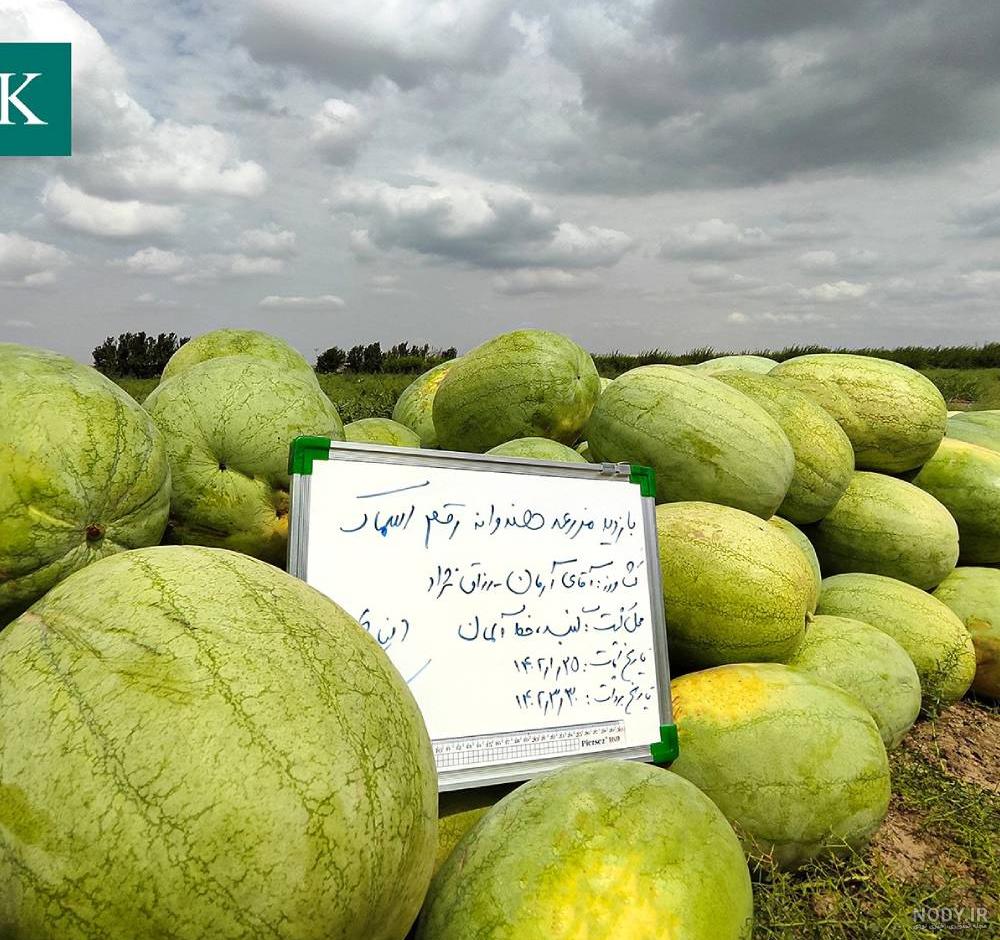 عکس سفید هندوانه
