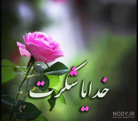 عکس پروفایل خدارو شکر
