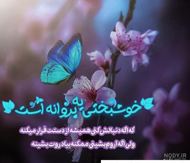 عکس پروفایل زیبا پروانه عکس پروفایل زیبا پروانه