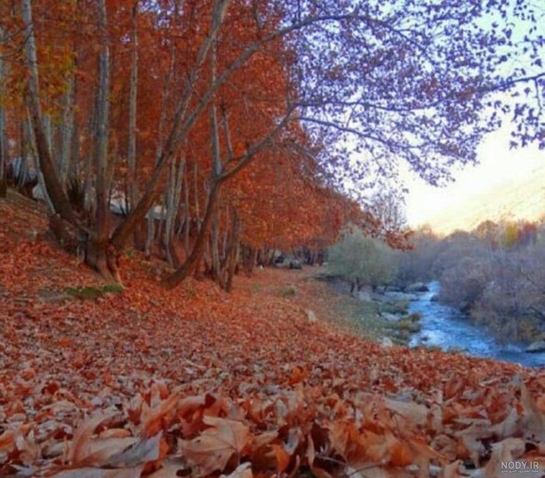 پاییز رویایی در ژاپن (عکس و فیلم) پاییز رویایی در ژاپن (عکس و فیلم)