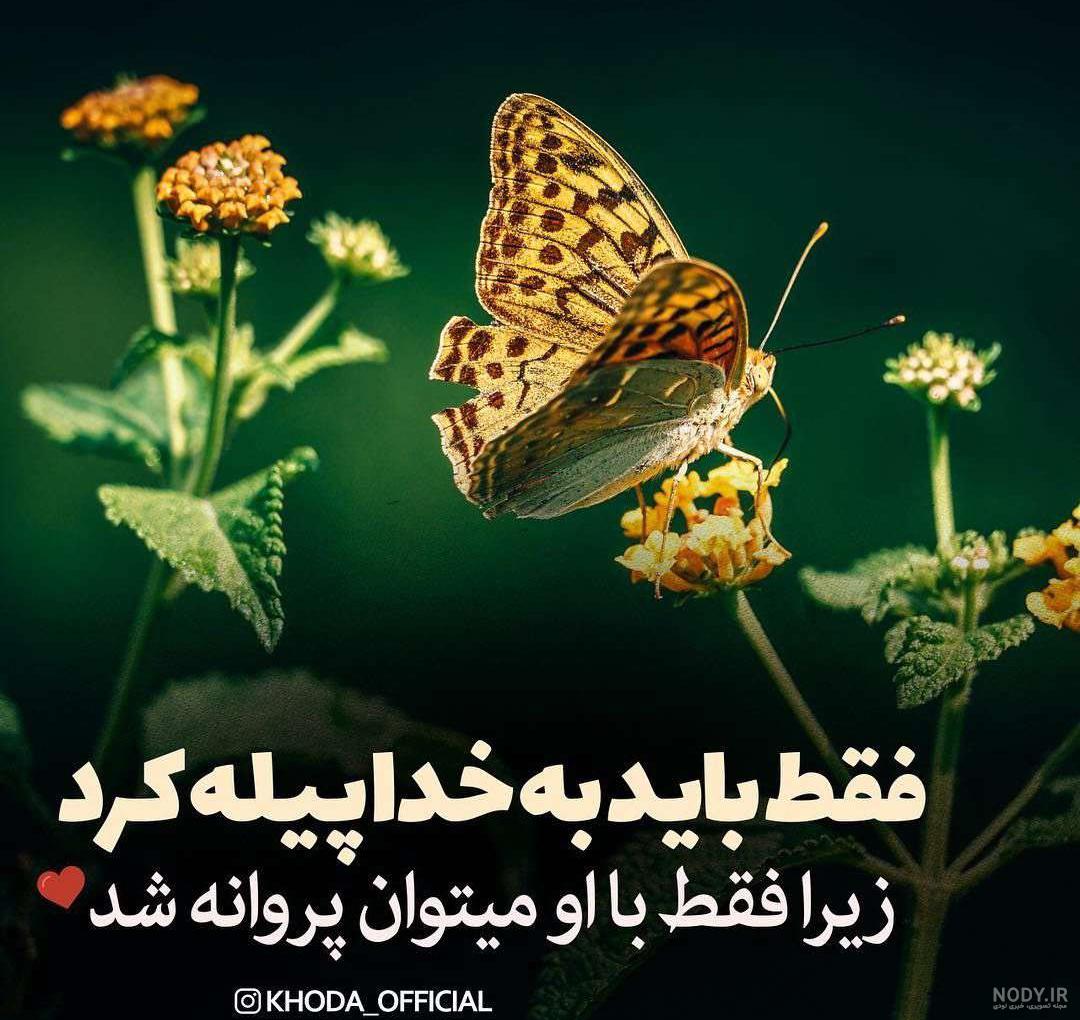 کانال تلگرام 🌸مهر بانو ۲۰۱۸🌸 @MehrBanooo_2018 کانال تلگرام 🌸مهر بانو ۲۰۱۸🌸 @MehrBanooo_2018