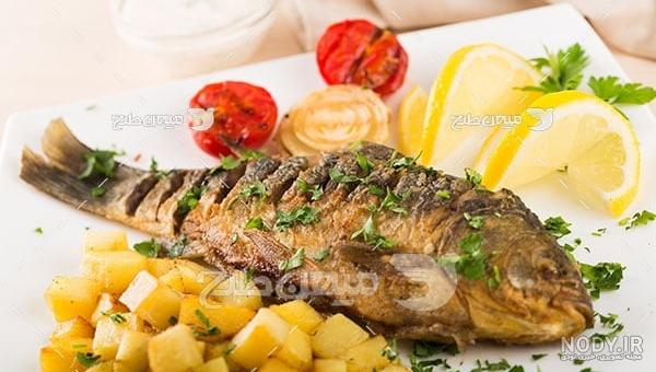 5 طرز تهیه غذا با ماهی که سلیقه های مختلف دوست دارند 5 طرز تهیه غذا با ماهی که سلیقه های مختلف دوست دارند