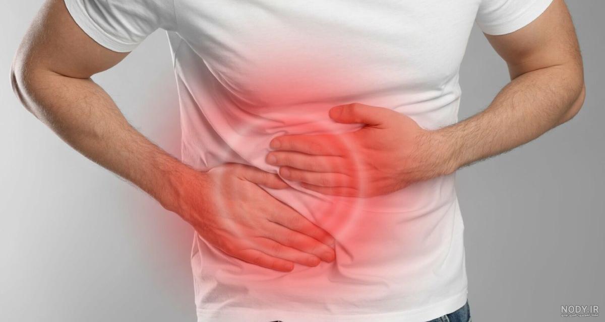 بدون این 9 عضو داخلی در بدنتان هم می‌توانید زنده بمانید