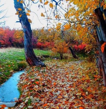 بهترین جاهای دیدنی رشت در پاییز 1402 - دوجینجا بهترین جاهای دیدنی رشت در پاییز 1402 - دوجینجا