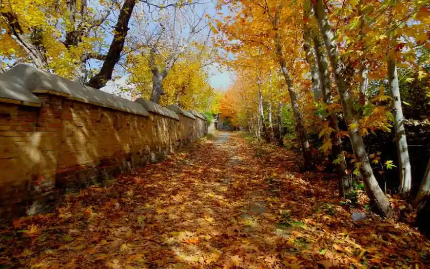 تصاویر زیبای پاییز در سراسر جهان تصاویر زیبای پاییز در سراسر جهان