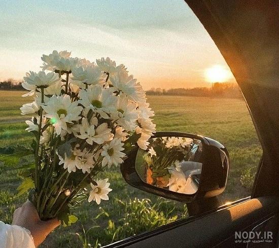 شکوفه های بهاری😍 - عکس ویسگون شکوفه های بهاری😍 - عکس ویسگون