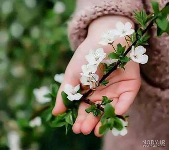 عکس استوری بهاری - عکس نودی عکس استوری بهاری - عکس نودی