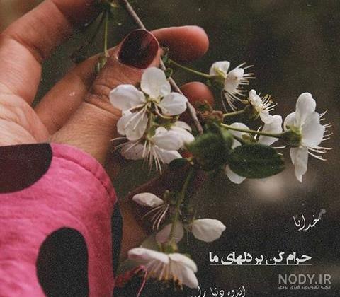 عکس بهاری استوری