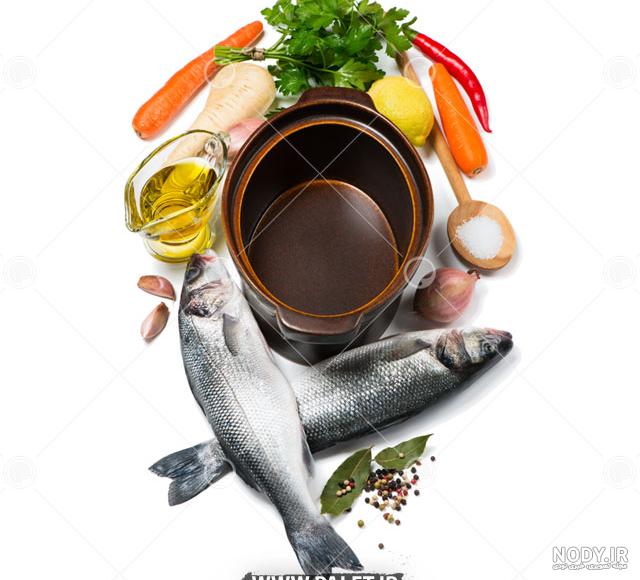 عکس تبلیغاتی غذا خوراک ماهی عکس تبلیغاتی غذا خوراک ماهی