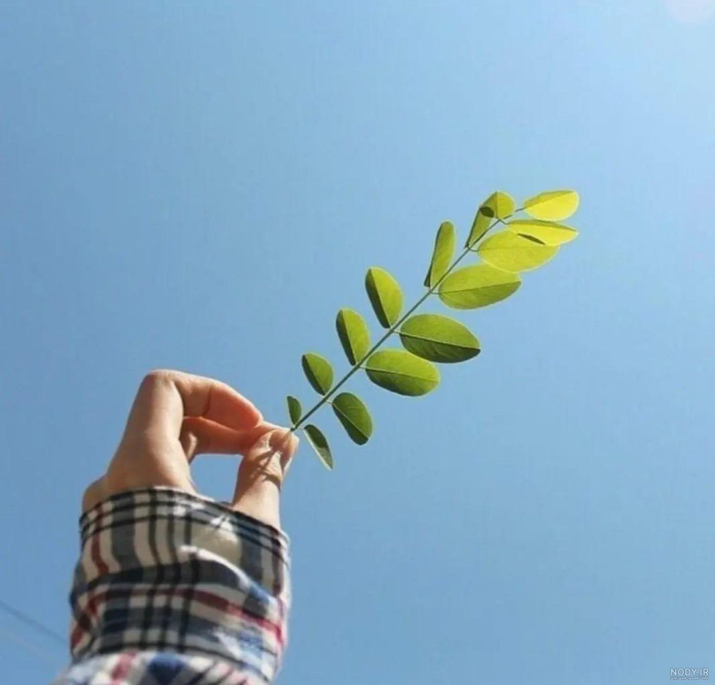 عکس طبیعت فانتزی - عکس نودی عکس طبیعت فانتزی - عکس نودی