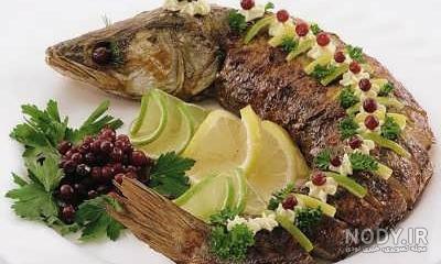 عکس غذا ماهیچه عکس غذا ماهیچه