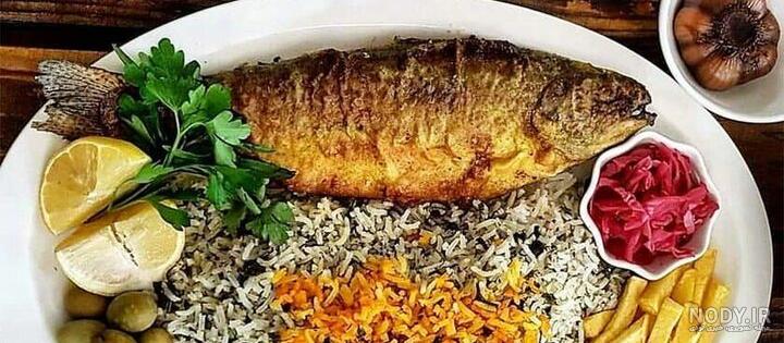 عکس غذای ماهی عکس غذای ماهی