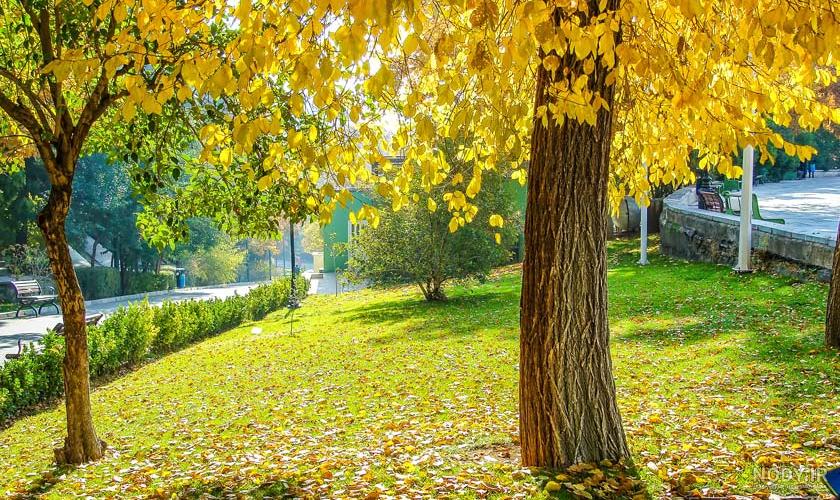 عکس کوچه های قدیمی پاییزی عکس کوچه های قدیمی پاییزی