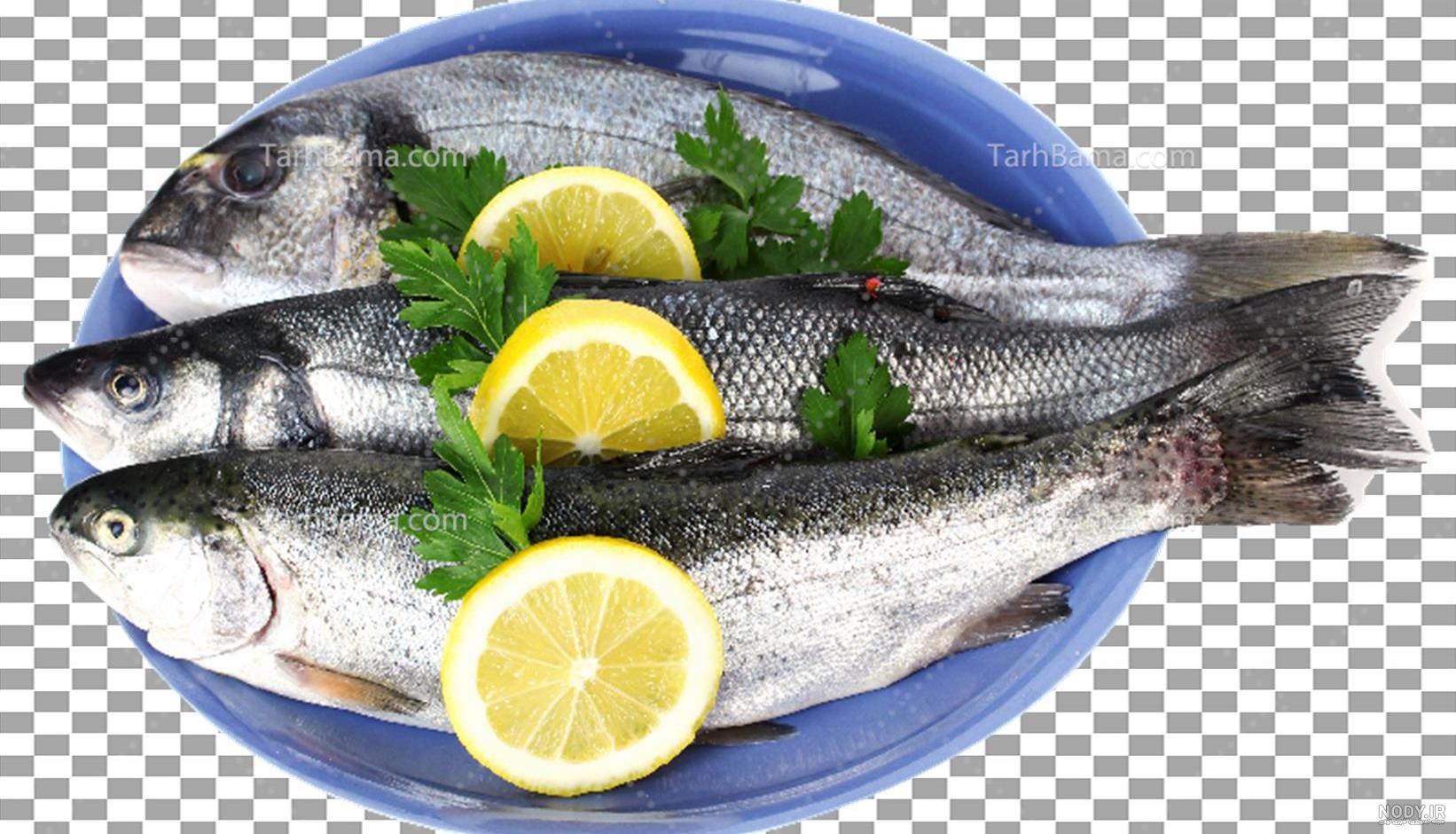 قیمت و خرید غذای ماهی قرمز مدل RED FISH FOOD وزن 20 گرم قیمت و خرید غذای ماهی قرمز مدل RED FISH FOOD وزن 20 گرم