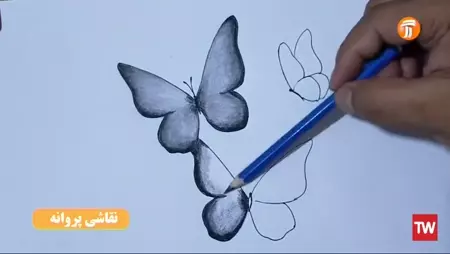 نقاشی پروانه ساده نقاشی پروانه ساده
