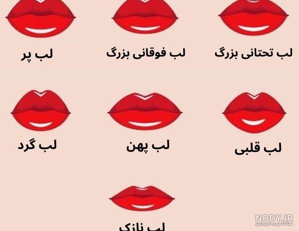 ژل لب و انواع مدل‌های تزریق ژل و فیلر لب برای زیبایی و فرم‌دهی