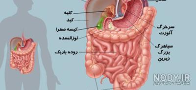 کشیدن شکم به داخل برای سلامتی مضر است؟ | ایندیپندنت فارسی کشیدن شکم به داخل برای سلامتی مضر است؟ | ایندیپندنت فارسی