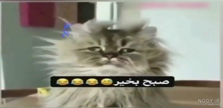 گلچین متن و پیام طنز و جوک خنده دار زمستانی