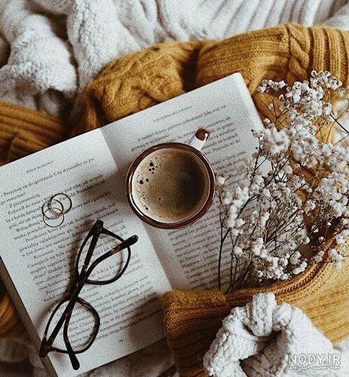 یک عکس زیبا برای پروفایل اینستا
