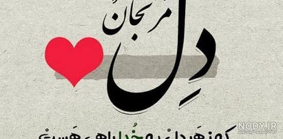 50 عکس گل و پروفایل گل زیبا برای واتساپ و تلگرام - Tjoor