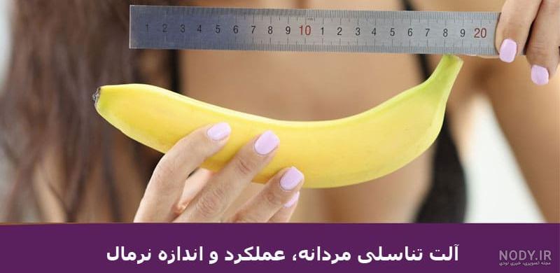 اجزای دستگاه تناسلی زنان به همراه عکس دقیق | یک زن | یک زن اجزای دستگاه تناسلی زنان به همراه عکس دقیق | یک زن | یک زن