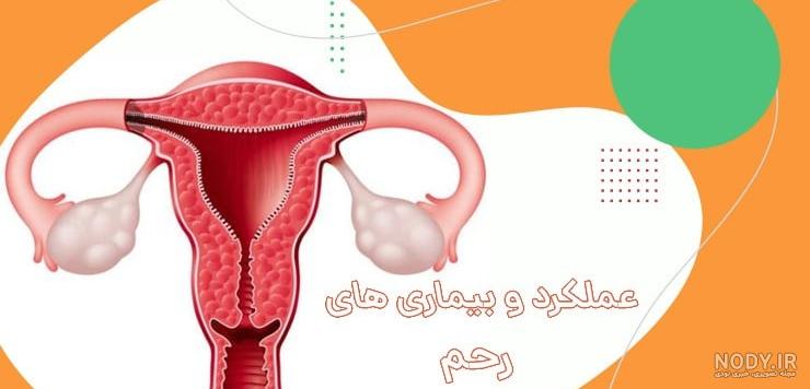 طول واژن تا رحم (عمق واژن) چقدر است؟ - خانم دکتر متین ذاکرین