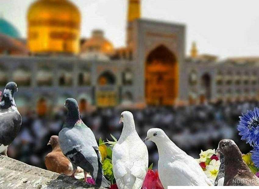 160 عکس جدید حرم امام رضا برای پروفایل
