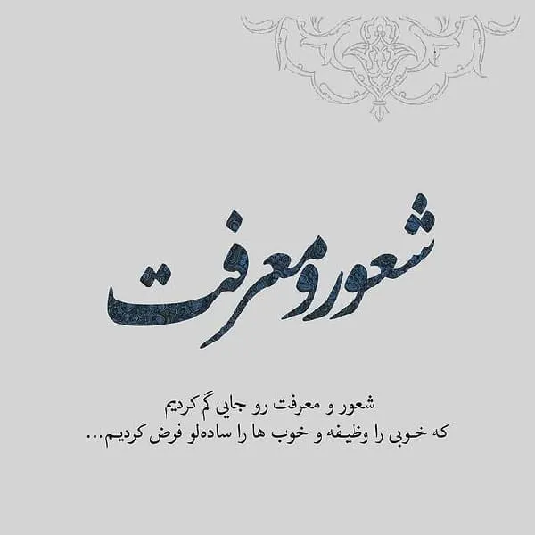 جملاتی از کتاب بی‌شعوری – مجله کتابچی