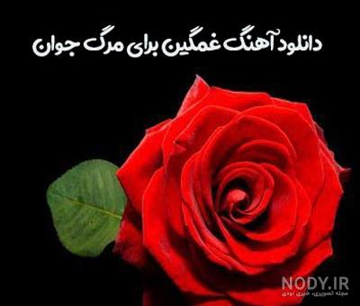 شعر تسلیت جوان ناکام و فرزند (دختر - پسر) - آبرنگ دات شاپ شعر تسلیت جوان ناکام و فرزند (دختر - پسر) - آبرنگ دات شاپ