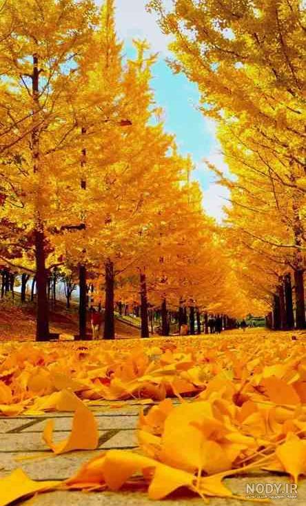 عکس های جدید پاییزی برای پروفایل