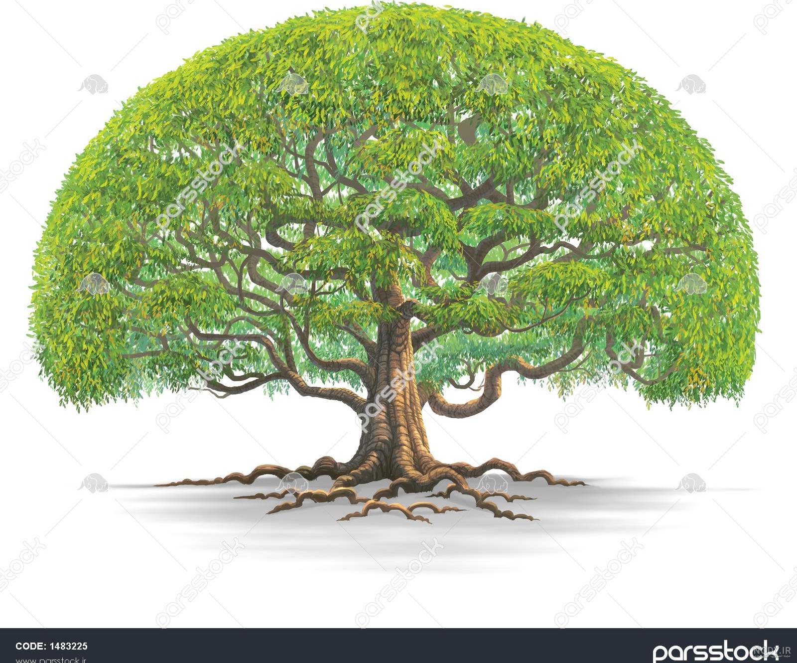 عکس درخت نقاشی عکس درخت نقاشی