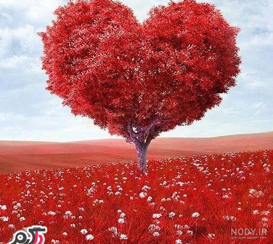 عکس زیبا از طبیعت