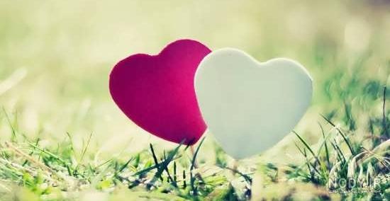 عکس زیبا و جذاب قلب عاشقانه دونفره با کیفیت عالی برای دسکتاپ عکس زیبا و جذاب قلب عاشقانه دونفره با کیفیت عالی برای دسکتاپ
