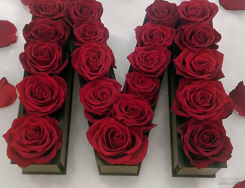 عکس های زیبای گل سرخ | عکس های گل رز قرمز زیبا عکس های زیبای گل سرخ | عکس های گل رز قرمز زیبا