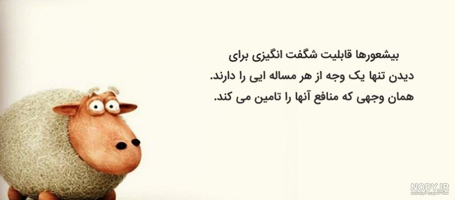 عکس نوشته تیکه دار معرفت - عکس نودی عکس نوشته تیکه دار معرفت - عکس نودی