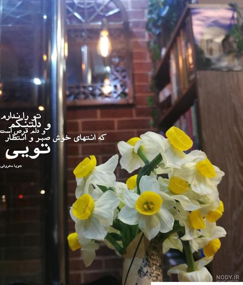 عکس نوشته زیبا با گل نرگس - عکس نودی عکس نوشته زیبا با گل نرگس - عکس نودی