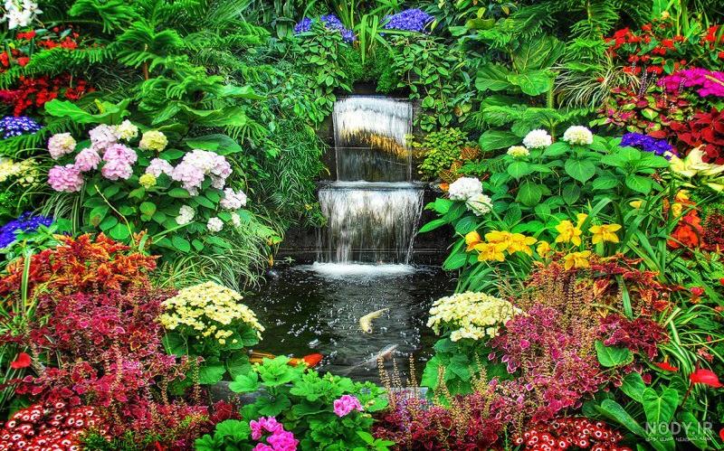 عکس هایی زیبا از حرم امام رضا